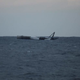 Floating Falcon 9 rocket following experimental high-thrust landing. Image: SpaceX/Elon Musk